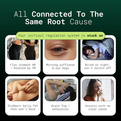 Basewell® Rhodiola Rosea [400mg]