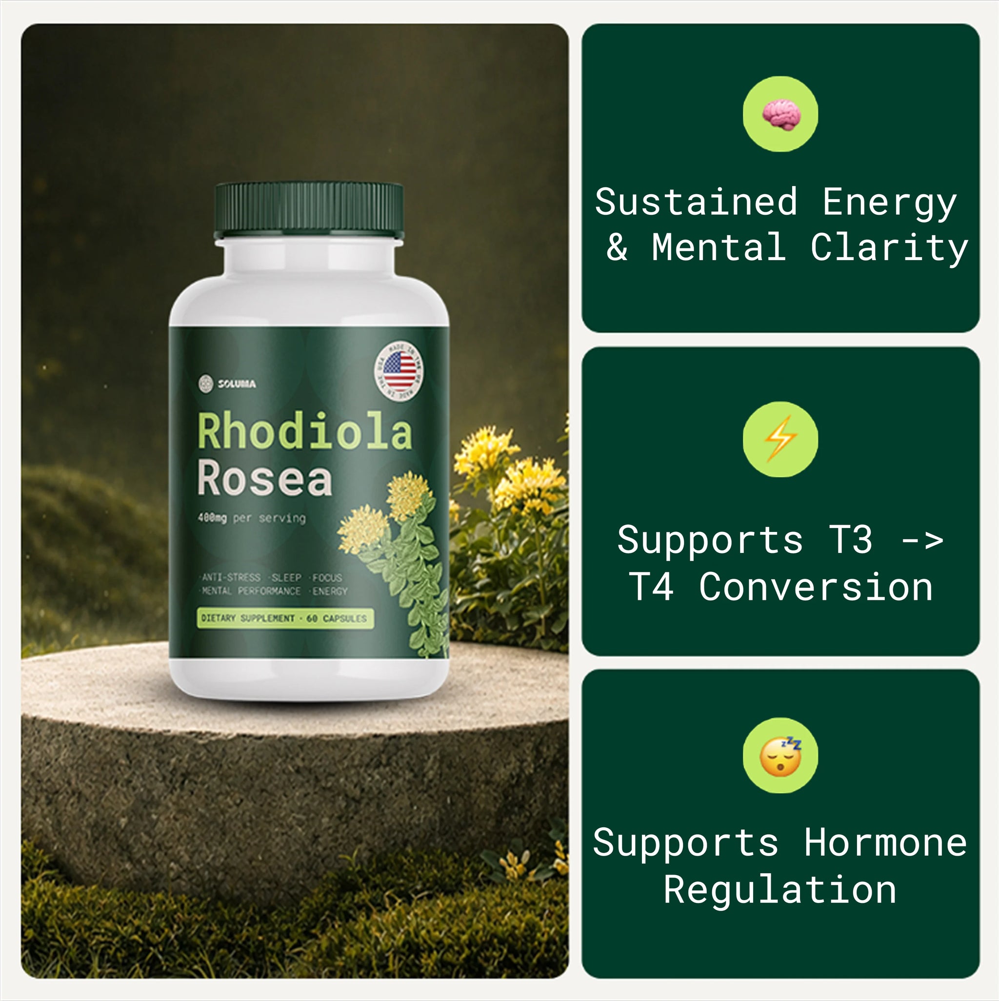 Basewell® Rhodiola Rosea [400mg]