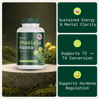 Basewell® Rhodiola Rosea [400mg]